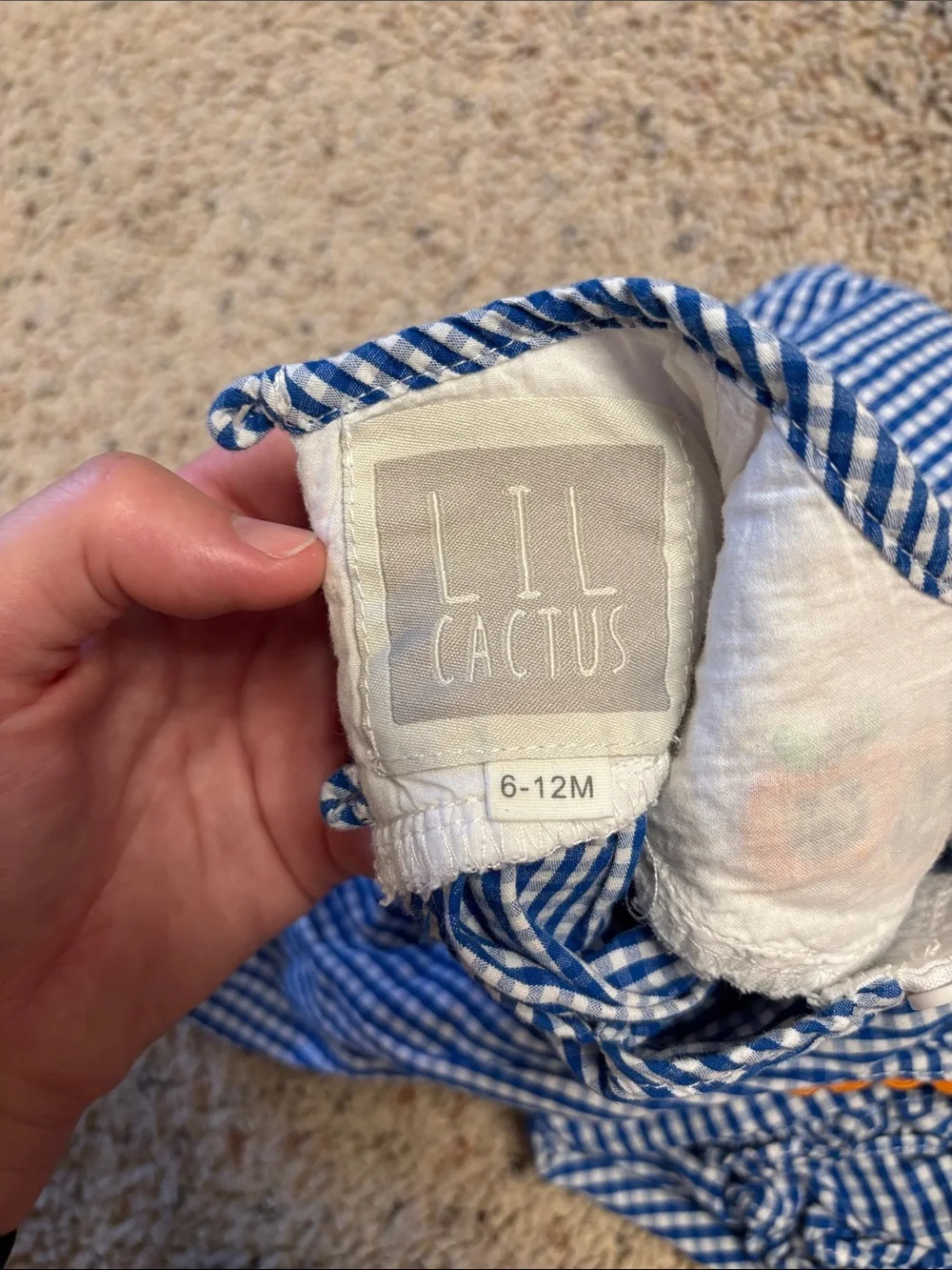 Lil Cactus cute blue